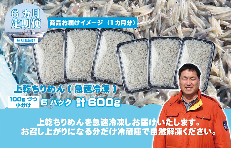 上乾ちりめんしらす 600g×全6回【定期便 小分け シラス しらす sirasu 海鮮 人気 おすすめ 産地直送】