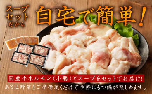 牛もつ鍋セット 12人前【国産 牛肉 ホルモン 塩こうじ スープ付き モツ 鍋 高評価 冷凍 鍋セット 簡単調理】