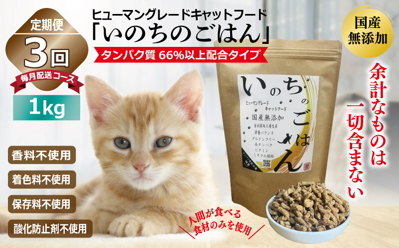 【定期便】国産無添加 キャットフード 1kg×全3回「いのちのごはん」タンパク質 66％以上配合タイプ【猫 ねこ ペットフード チキン 手作り ヒューマングレード 国産 毎月配送】