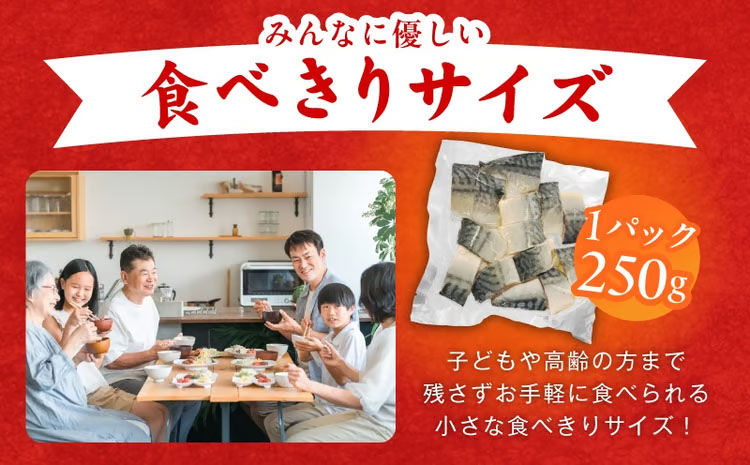 【定期便】塩さば 1kg（250g×4P）全3回【お弁当サイズ 生活応援 サバ 小分け 青魚 塩鯖 塩サバ 切身 塩焼き 焼きさば 焼き鯖 人気 冷凍 冷凍食品 おかず 惣菜 訳あり サイズ不揃い 大阪 泉佐野 大阪府 泉佐野市】