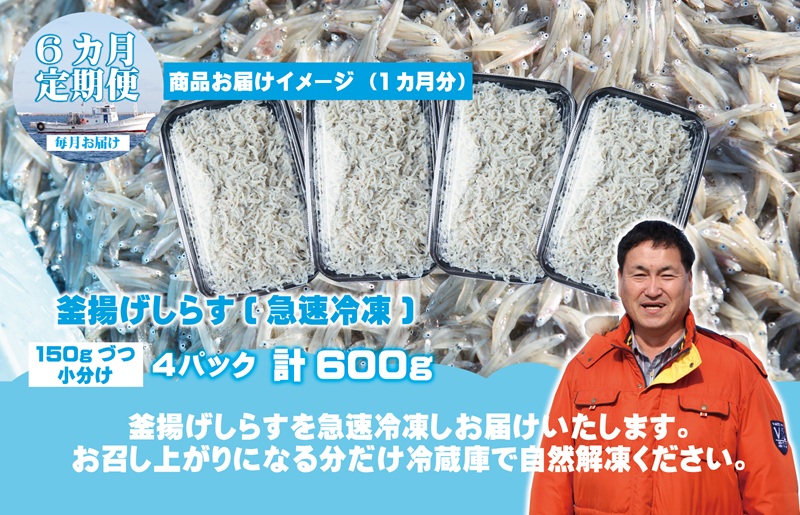 減塩 釜揚げしらす 600g×全6回【定期便 小分け シラス しらす sirasu 海鮮 人気 おすすめ 産地直送】