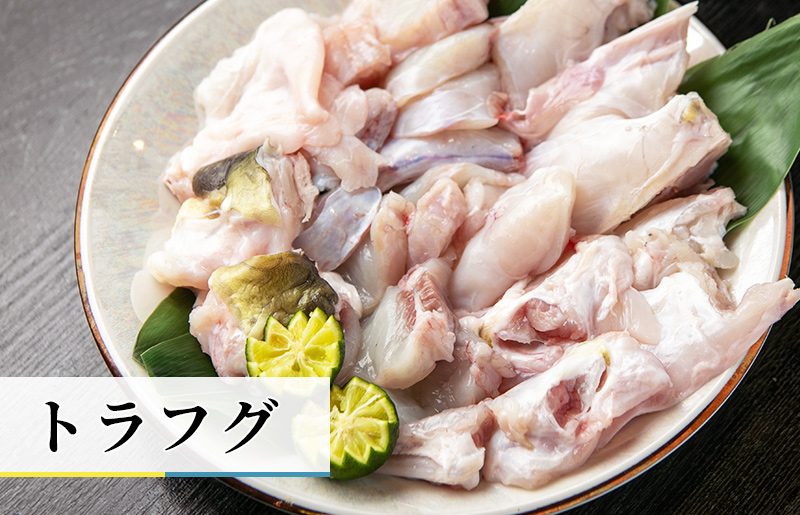 トラフグ てっちり（フグ鍋） 切り身