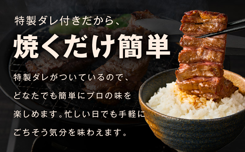 【お試し】赤身カルビ ステーキ 500g 焼肉用 500g×1P【氷温熟成×特製ダレ 牛肉 バラ 切り落とし 訳あり サイズ不揃い】