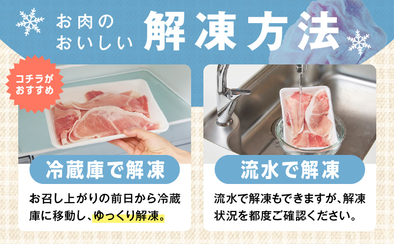 【定期便】国産 豚肉 切り落とし 1.5kg×3回【氷温熟成×極味付け 小分け 300g×5P ぶたにく 普段使い 野菜炒め】