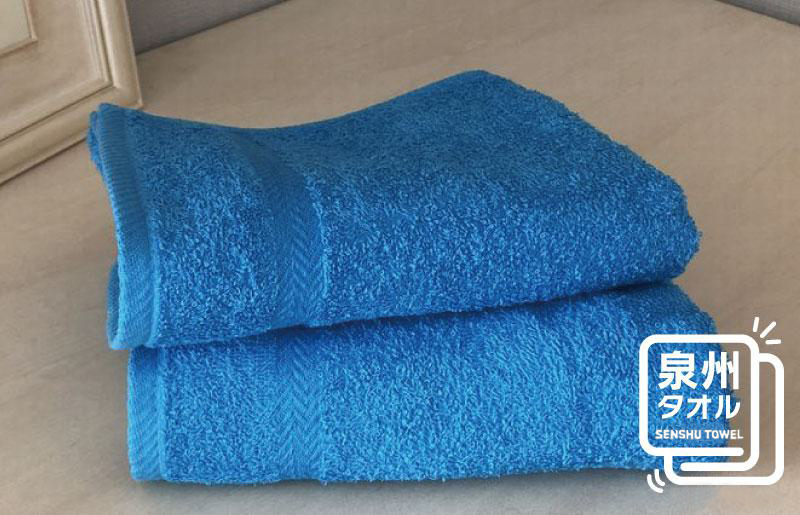 コーマカラーフェイスタオル 2枚（スマートブルー) 【泉州タオル 国産 吸水 薄手 普段使い 無地 シンプル 日用品】
