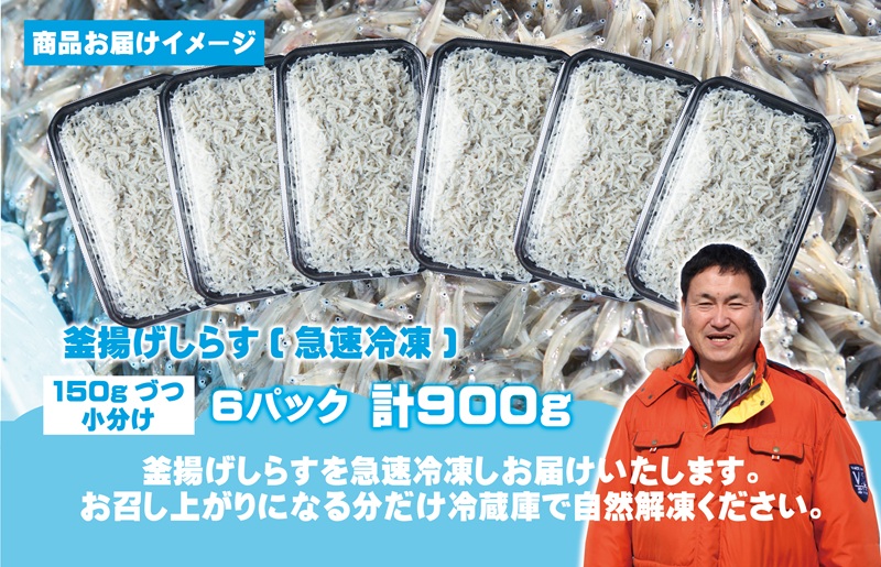 【定期便】減塩 釜揚げしらす 900g 全2回【2026年3月＆2026年6月発送 小分け 150g×6P シラス しらす sirasu 海鮮 人気 おすすめ 産地直送】