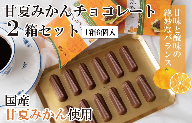 【スピード発送】甘夏みかんチョコレート 2箱セット  瀧のしずく