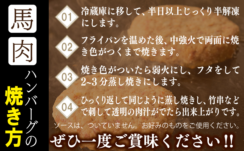 【定期便】 桜文 馬肉ハンバーグ 120ｇ×10個 全6回 【毎月配送コース】