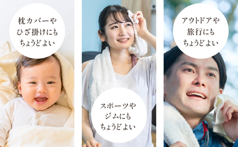 ファミーユ ミニバスタオル 6枚（グレー）【フェイスタオル 以上 バスタオル 未満 泉州タオル 吸水 普段使い シンプル 日用品 たおる】