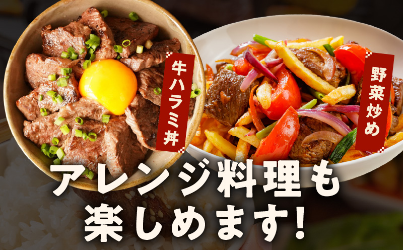 【お試し】牛肉 ハラミ 600g（300g×2P）【氷温熟成×特製ダレ】