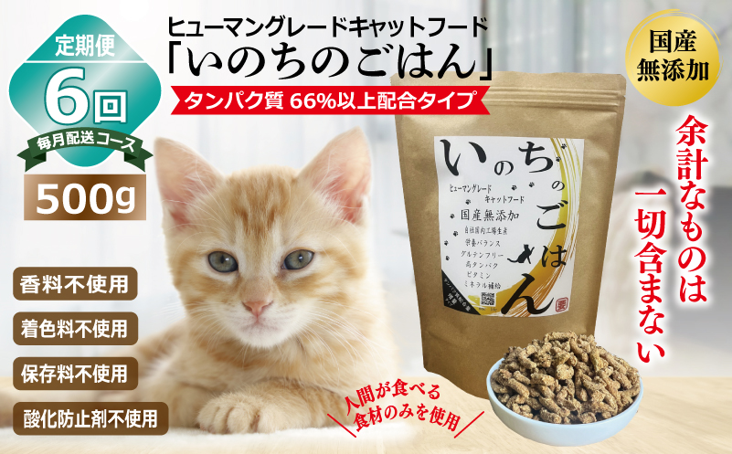 【定期便】国産無添加 キャットフード 500g×全6回「いのちのごはん」タンパク質 66％以上配合タイプ【猫 ねこ ペットフード チキン 手作り ヒューマングレード 国産 毎月配送】