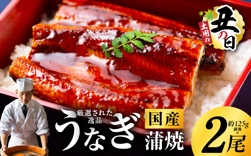 【土用の丑の日までにお届け】国産うなぎ 2尾 合計250g【高評価 特製タレ付 蒲焼 鰻 ウナギ 有頭 炭火焼き 備長炭 手焼き レンジ 温めるだけ 簡単調理】
