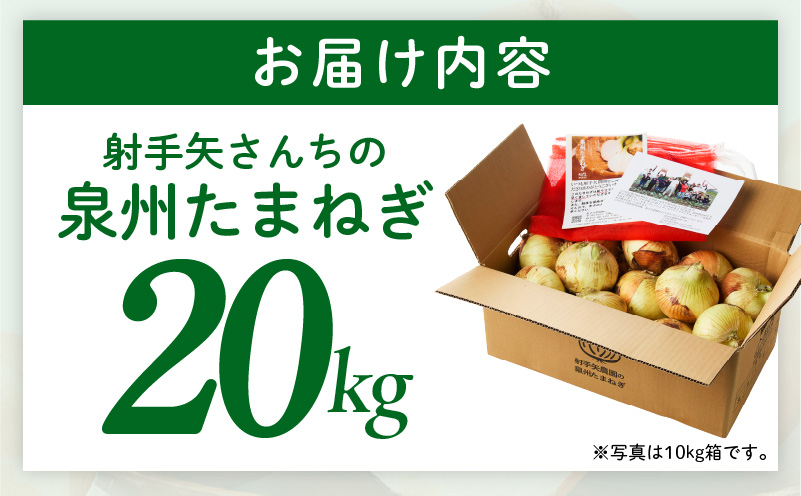 【先行予約】泉州たまねぎ 20kg 玉ねぎ 射手矢農園【タマネギ 玉葱 甘い 野菜 国産 期間限定 オニオン スライス サラダ カレー シチュー バーベキュー BBQ 肉じゃが TVで紹介！】