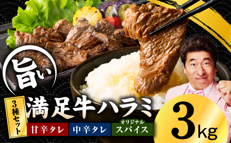 【満足牛ハラミ】3種セット （甘辛タレ漬け・中辛タレ漬け・オリジナルスパイス仕込み）  合計3kg 【味付け ハラミ 小分け 焼くだけ 簡単調理 BBQ 牛肉 250g×12P】