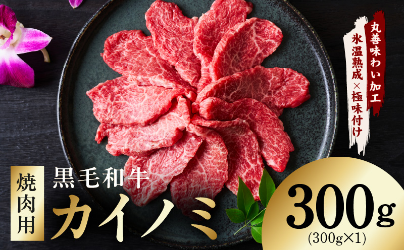 【氷温熟成×極味付け】黒毛和牛 カイノミ 焼肉用 300g【小分け 300g×1P 牛肉 かいのみ 赤身 希少部位】