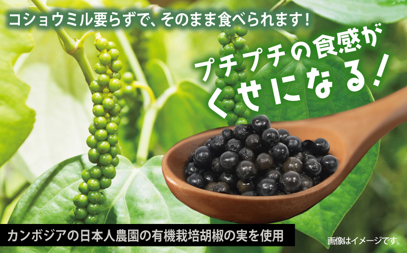 生胡椒 極(きわみ) 60g×1本【能登の塩 コショウ こしょう カンポットペッパー スパイス カンボジア】