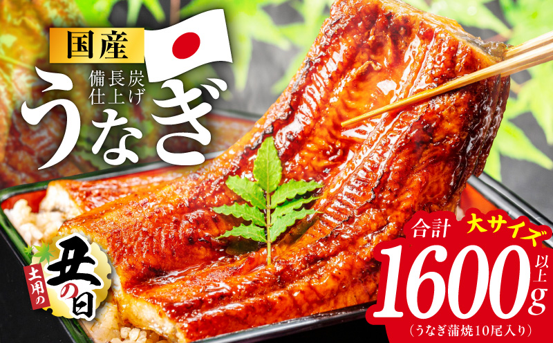 【土用の丑の日】国産うなぎ蒲焼 1600g以上（大サイズ10尾）【レンチン 湯煎対応 簡単調理 鰻 ウナギ 人気総菜 日本産 特別規格】