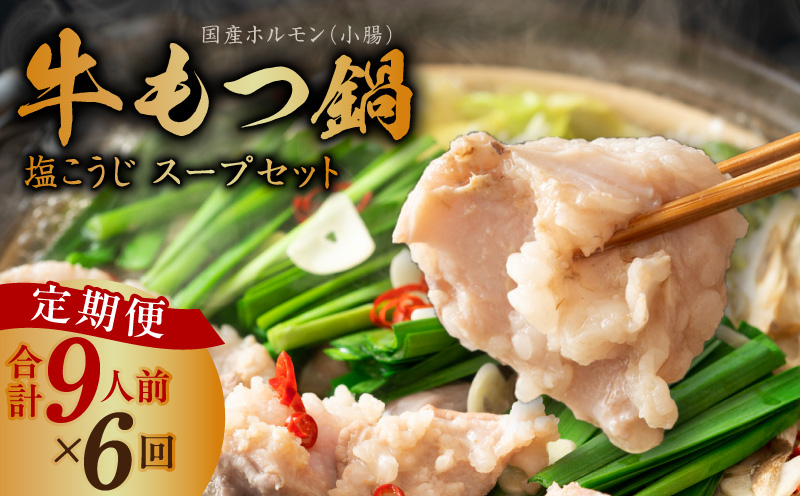 【定期便】牛もつ鍋セット 9人前 全6回【毎月配送コース 国産 牛肉 ホルモン 塩こうじ スープ付き モツ 鍋 高評価 冷凍 鍋セット 簡単調理】