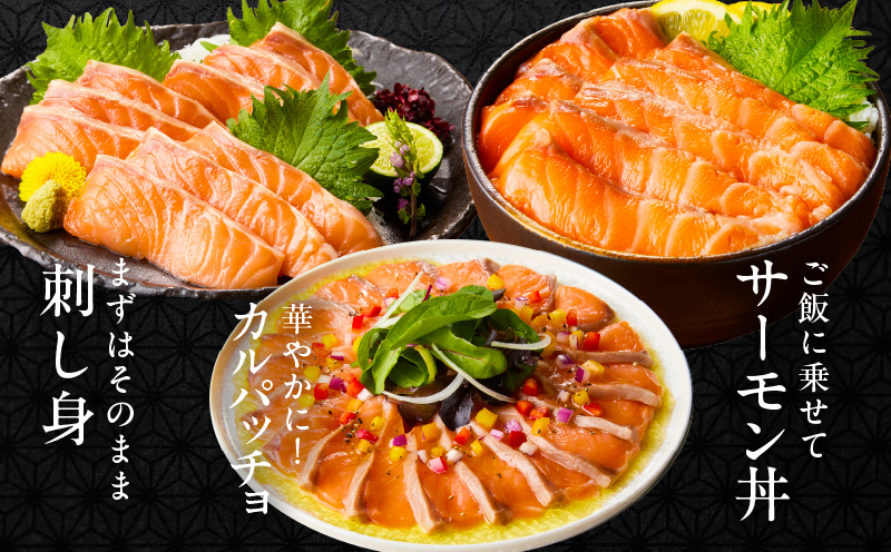 ãTVã§ç޹ä»ïŒãã¢ãã©ã³ãã£ãã¯ãµãŒã¢ã³ 500g åºèº«çšããŒã·ã§ã³ãå°åã ç空ãã㯠蚳ãã ãµã€ãºäžæã åºèº« 海鮮䞌 ããŒãã é® ãã ã·ã£ã± ããã å·å å®¶èšå¿æŽã