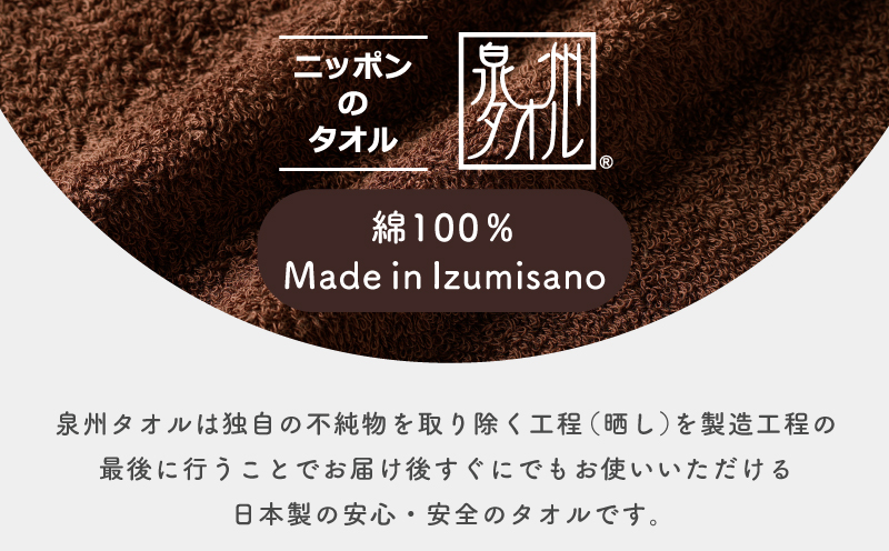 濃色カラー バスタオル 2枚（ブラウン）【泉州タオル 国産 吸水 普段使い シンプル 日用品 家族 ファミリー】