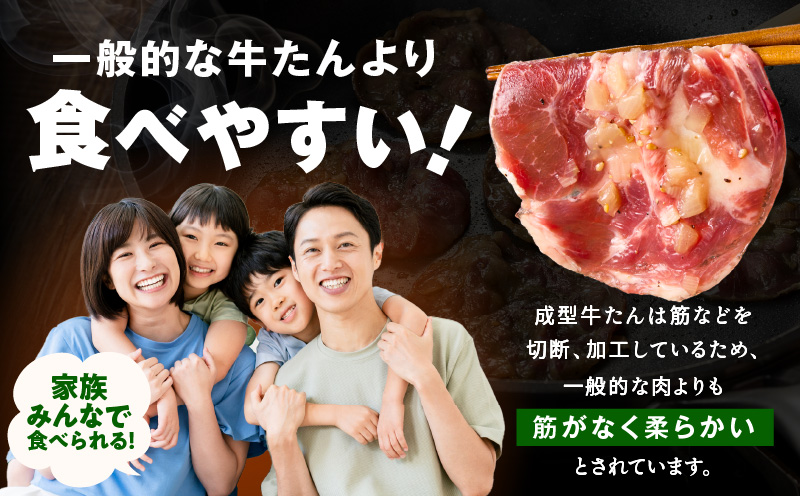【定期便】牛タン＆牛ハラミ お試し 1kg 焼肉セット【成型牛たん ハラミ 味付き 牛肉 やきにく BBQ 薄切り スライス 訳あり サイズ不揃い 2026年3月＆6月発送 全2回】