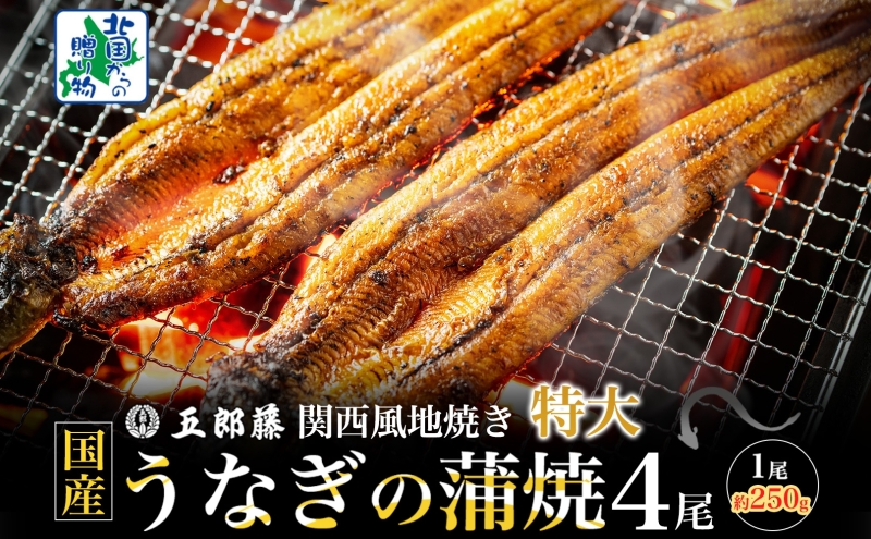 国産有頭旨鰻 250g×4尾 特大サイズ【関西風地焼き 老舗 五郎藤 うなぎ 1kg 小分け unagi ひつまぶし 簡単調理】