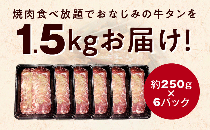 【定期便】ねぎ塩 牛たん（成型）合計 1.5kg 小分け 250g×6【牛タン 牛肉 焼肉用 薄切り 訳あり サイズ不揃い 2026年3月＆6月発送 全2回】