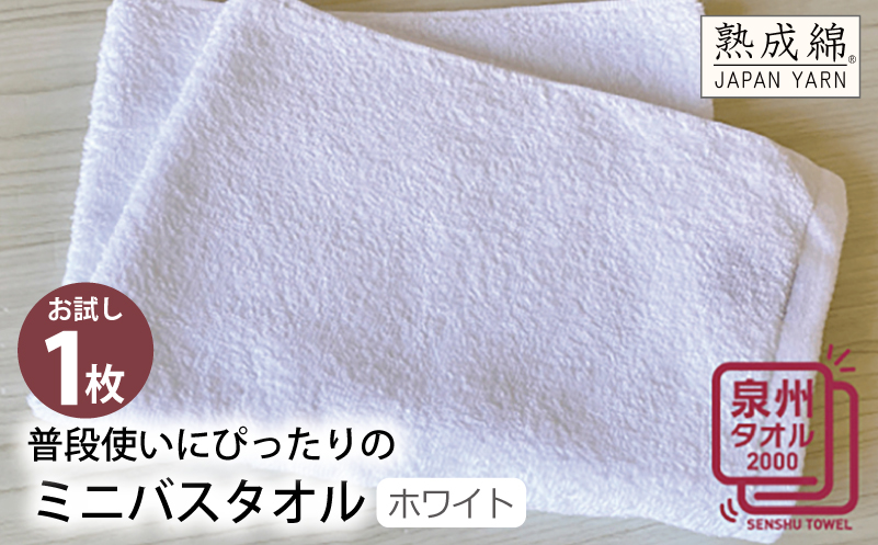 æ®æ®µäœ¿ãã«ãŽã£ããã®ãããã¹ã¿ãªã«ïŒãã¯ã€ãïŒ ãè©Šãæ³å·ã¿ãªã«ãæ³å·ã¿ãªã« åœç£ åžæ°Ž æ®æ®µäœ¿ã ç¡å° ã·ã³ãã« æ¥çšå å®¶æ ãã¡ããªãŒã