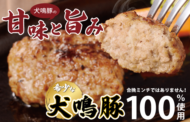 【泉佐野ブランド豚】犬鳴豚の手作りプレミアムハンバーグ（20個入り）×3回【国産 豚肉 ぶたにく 定期便 犬鳴ポーク 普段使い】