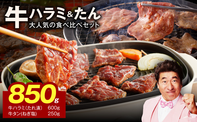 【大人気の食べ比べ】牛ハラミ600g＆牛たん250ｇ 【ハラミ 牛タン 小分け 牛肉 焼肉セット BBQ 訳あり サイズ不揃い】