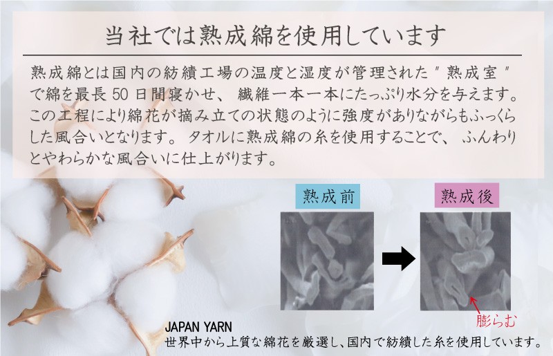 家事がラクになるバスタオル 4枚【アイスグリーン 泉州タオル 高品質 綿100％ 日本製 国産 単色 シンプル】