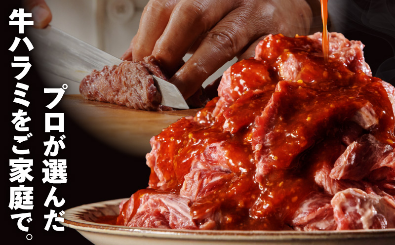 ガツめし牛ハラミ 600g　追いダレ漬け【300g×2 ハラミはらみ 牛はらみ 牛肉 訳アリ 不揃い 小分け 大阪 泉佐野 大阪府 泉佐野市】