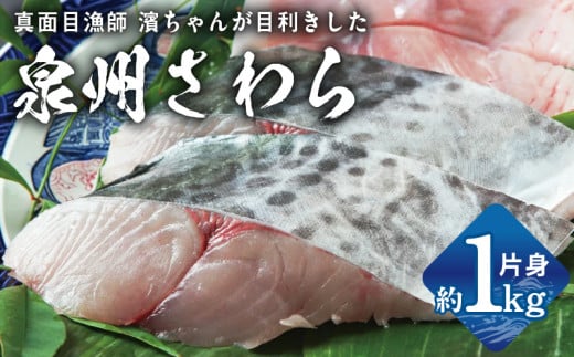 【スピード発送】さわら 片身 1kg【漁師 目利き 海鮮 鰆 泉州 新鮮 産地直送 急速冷凍】