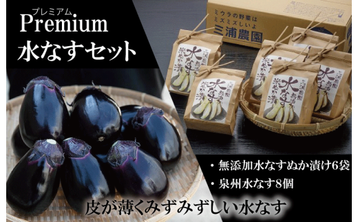 Premium水なすセット【新鮮 野菜 泉佐野産 茄子 やさい 高評価 数量限定】