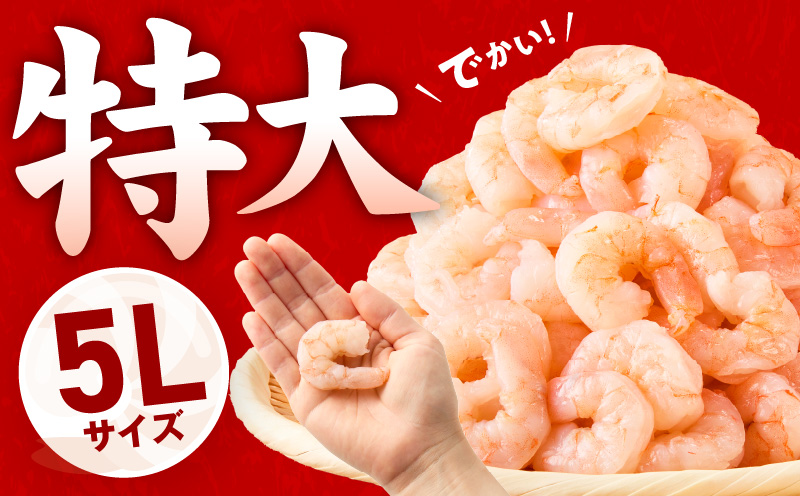 むきえび 定期便 1.7kg×3回 特大5Lサイズ【下処理不要 小分け 850g×2P 訳あり サイズ不揃い バナメイエビ バラ凍結】