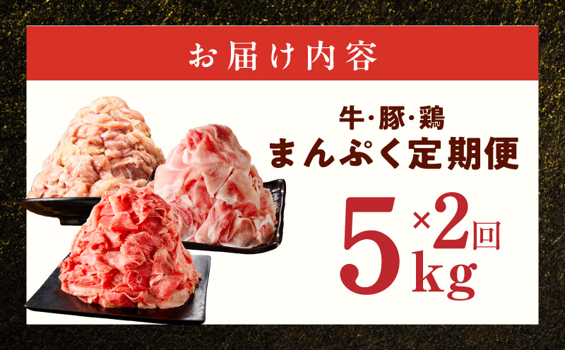 国産 牛肉＆豚肉＆鶏肉 まんぷく 定期便 5kg×2回【氷温熟成×極味付け 3種 食べ比べ 普段使い 味付き 小分け 訳あり サイズ不揃い 毎月配送コース】
