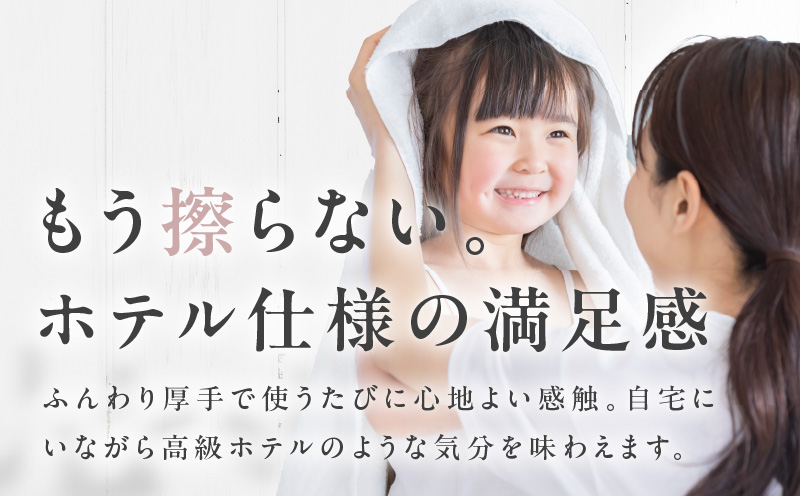 世界最高峰のタオル nei バスタオル 6枚（ブラウン）【ホテル仕様 上質 厚手 吸水性 たおる ギフト 国産】
