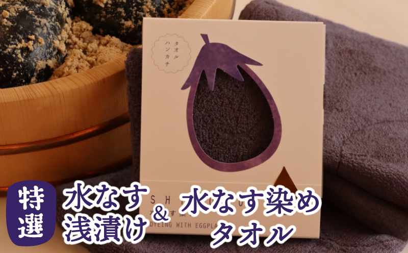 水なす浅漬け5個と水なす染め泉州タオルセット【新鮮 野菜 泉佐野産 茄子 やさい 高評価 数量限定】