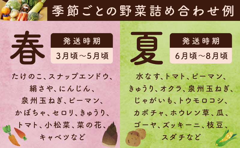 泉州野菜 定期便 15種類以上×全4回【毎月配送 国産 野菜 やさい 詰め合わせ セット 新鮮 旬 ええもん ていきびん】