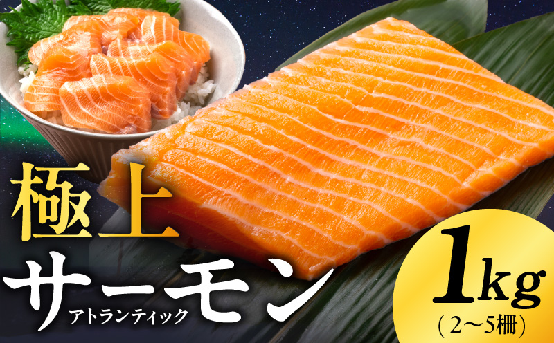 極上 アトランティックサーモン 1kg【ノルウェー産 2～5柵 訳あり サイズ不揃い 上質 刺身 海鮮丼 サラダ 冷凍 物価高応援】