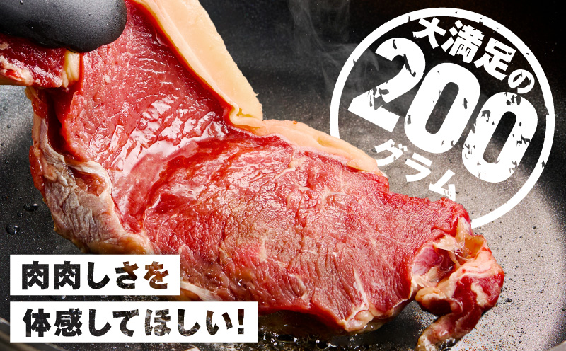 【スピード発送】牛肉 ロースステーキ 600g【氷温熟成×極味付け 約200g×3枚  訳あり サイズ不揃い 小分け 焼くだけ】