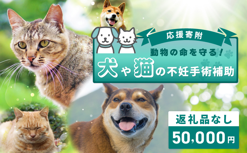 【返礼品なし】動物の命を守る！犬や猫の不妊手術補助 応援寄附（大阪府泉佐野市）　