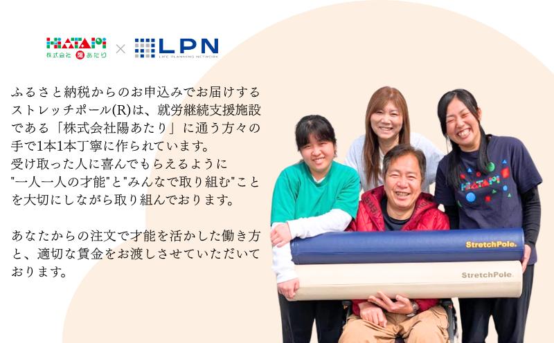 【LPN社製】ストレッチポールEX ネイビー 2本セット【正規品 セルフケア ストレッチ エクササイズ 腰痛 肩こり 体幹 コアトレ 大阪 泉佐野 大阪府 泉佐野市】