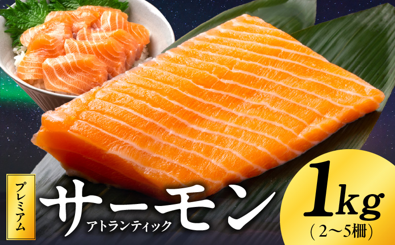 【定期便】ノルウェー産 プレミアム アトランティックサーモン 1kg 【2〜5柵 訳あり サイズ不揃い 刺身 海鮮丼 サラダ 冷凍 2026年2月＆5月発送 全2回】