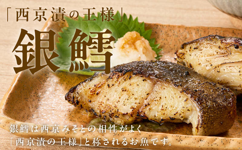 【分けて届く定期便】銀鱈 西京漬け 80g×20切れ【小分け 熟成 銀だら ぎんだら ギンダラ 海産物 魚 惣菜 西京焼き 味噌 訳あり サイズ不揃い 全2回 大阪 泉佐野 大阪府 泉佐野市】
