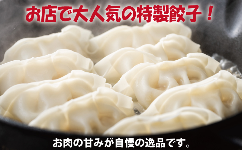 【泉佐野ブランド豚】犬鳴豚餃子 100個×3回【国産 豚肉 ぶたにく 定期便 犬鳴ポーク 焼くだけ 人気 総菜 冷凍】