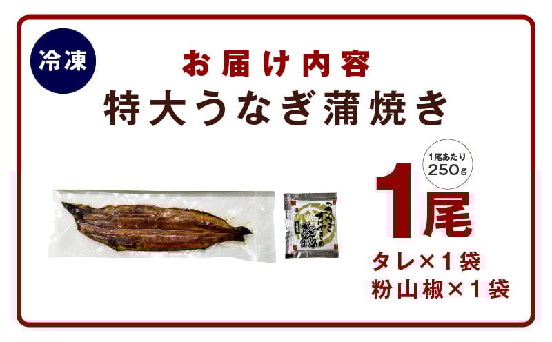 【7/26土用の丑の日】超ビッグサイズ！数量限定！老舗「五郎藤」 関西風地焼き 国産有頭旨鰻 250g×1尾【特大 うなぎ ウナギ 蒲焼き 炭火】