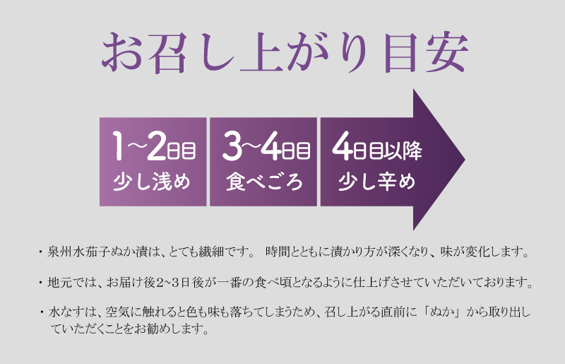 【お中元対応】 特選水なす浅漬け 8個入り