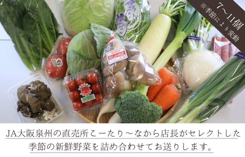 099H139 直売所店長セレクト季節の野菜セット|JALふるさと納税|JALのマイルがたまるふるさと納税サイト