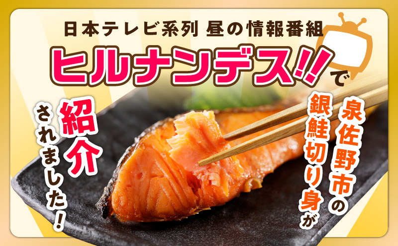 銀鮭 切り身 1kg 9切れ前後【お試し TVで紹介 訳あり サイズ不揃い 海鮮 魚介 鮭 さけ しゃけ お弁当 簡単調理】